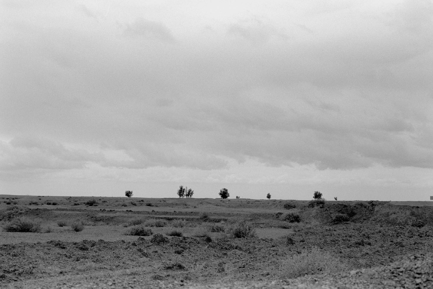 Black-and-white photograph: Untitled, photograph 41